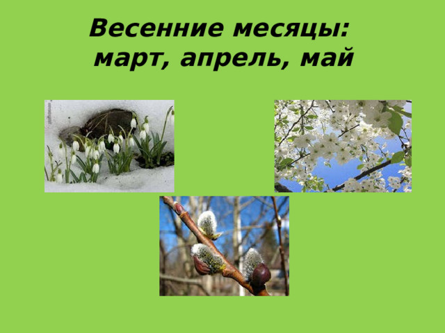 Весенние месяцы:  март, апрель, май