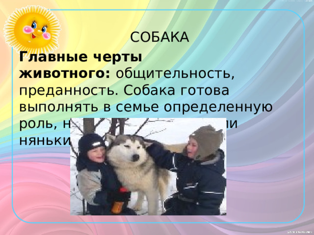 СОБАКА Главные черты животного:  общительность, преданность. Собака готова выполнять в семье определенную роль, например, сторожа или няньки.