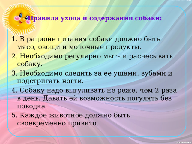 Правила ухода и содержания собаки:   1. В рационе питания собаки должно быть мясо, овощи и молочные продукты. 2. Необходимо регулярно мыть и расчесывать собаку. 3. Необходимо следить за ее ушами, зубами и подстригать ногти. 4. Собаку надо выгуливать не реже, чем 2 раза в день. Давать ей возможность погулять без поводка. 5. Каждое животное должно быть своевременно привито.