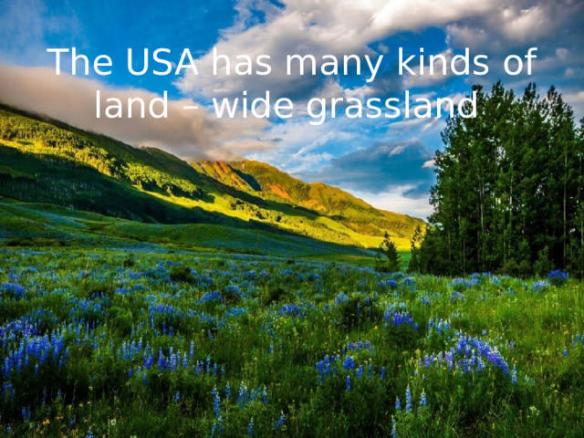 The USA has many kinds of land – wide grassland