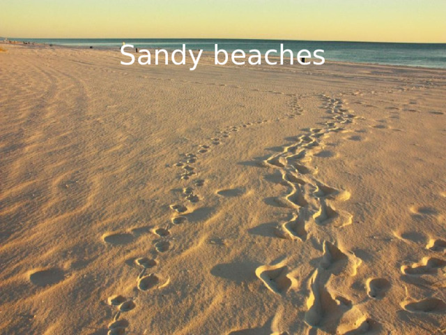 Sandy  beaches