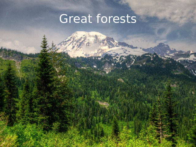 Great forests