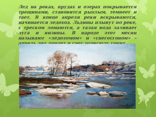 Лед на реках, прудах и озерах покрывается трещинами, становится рыхлым, темнеет и тает. В конце апреля реки вскрываются, начинается ледоход. Льдины плывут по реке, с треском ломаются, а талая вода заливает луга и низины. В народе этот месяц называют «ледоломом» и «снегосгоном» – апрель лед ломает и снег отовсюду гонит.