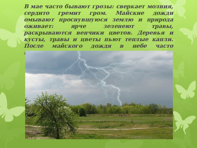 В мае часто бывают грозы: сверкает молния, сердито гремит гром. Майские дожди омывают проснувшуюся землю и природа оживает: ярче зеленеют травы, раскрываются венчики цветов. Деревья и кусты, травы и цветы пьют теплые капли. После майского дождя в небе часто появляется разноцветная радуга.