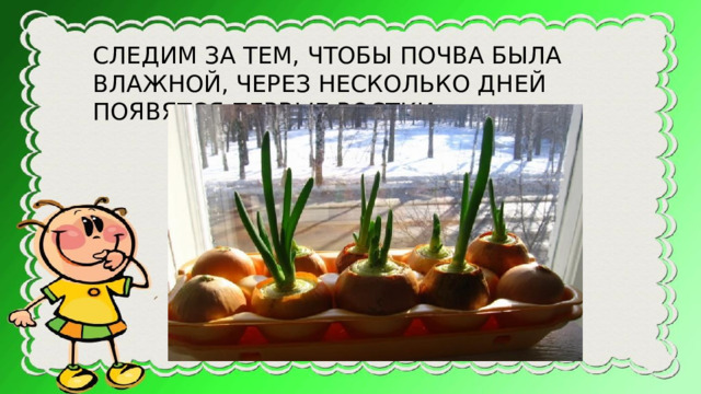 СЛЕДИМ ЗА ТЕМ, ЧТОБЫ ПОЧВА БЫЛА ВЛАЖНОЙ, ЧЕРЕЗ НЕСКОЛЬКО ДНЕЙ ПОЯВЯТСЯ ПЕРВЫЕ РОСТКИ