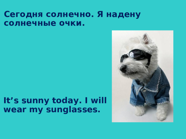 Сегодня солнечно. Я надену солнечные очки.  It’s sunny today. I will wear my sunglasses.