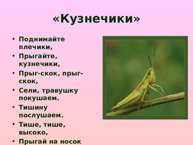 «Кузнечики»