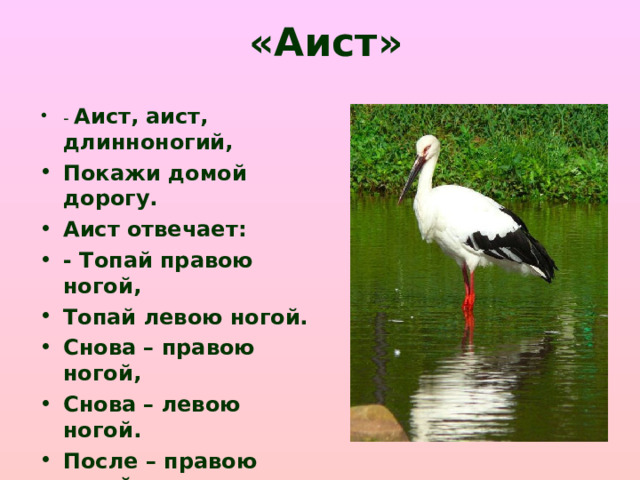 «Аист»