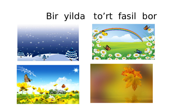 Bir yilda to’rt fasil bor