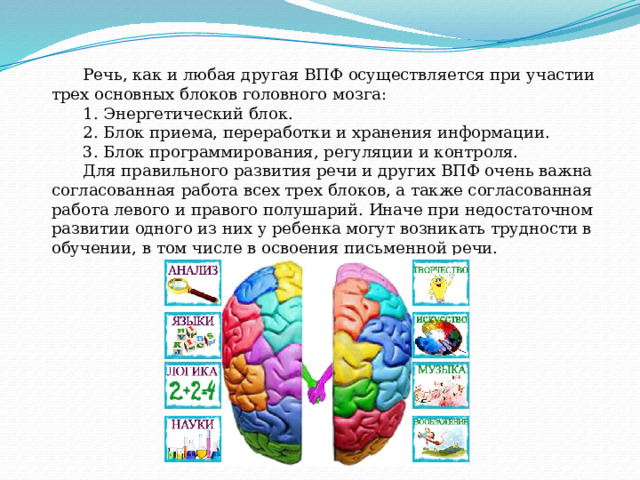 Речь, как и любая другая ВПФ осуществляется при участии трех основных блоков головного мозга: 1. Энергетический блок. 2. Блок приема, переработки и хранения информации. 3. Блок программирования, регуляции и контроля. Для правильного развития речи и других ВПФ очень важна согласованная работа всех трех блоков, а также согласованная работа левого и правого полушарий. Иначе при недостаточном развитии одного из них у ребенка могут возникать трудности в обучении, в том числе в освоения письменной речи.