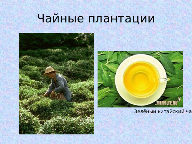 Чайные плантации Зелёный китайский чай