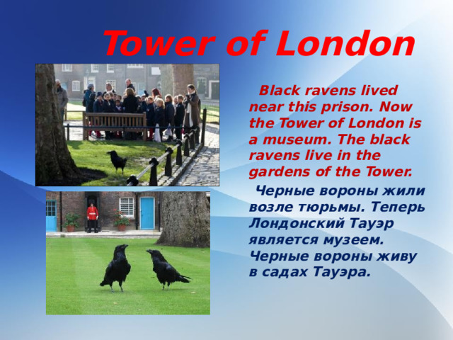 Tower of London  Black ravens lived near this prison. Now the Tower of London is a museum. The black ravens live in the gardens of the Tower.  Черные вороны жили возле тюрьмы. Теперь Лондонский Тауэр является музеем. Черные вороны живу в садах Тауэра.