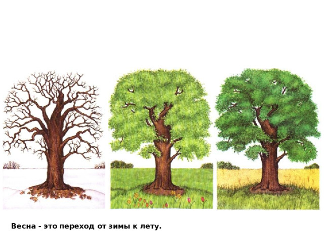 Весна - это переход от зимы к лету.