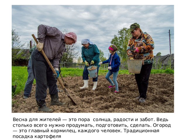 Весна для жителей — это пора солнца, радости и забот. Ведь столько всего нужно продумать, подготовить, сделать. Огород — это главный кормилец, каждого человек. Традиционная посадка картофеля