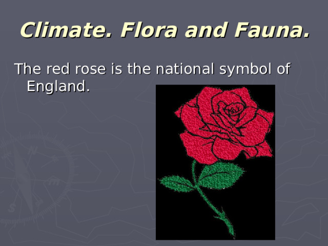 Climate. Flora and Fauna. The red rose is the national symbol of England.