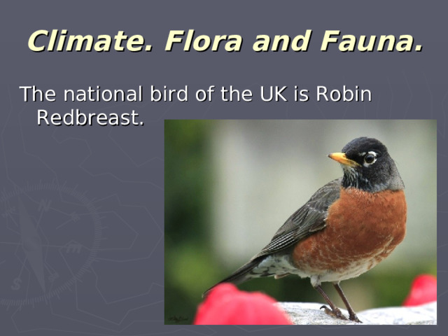 Climate. Flora and Fauna. The national bird of the UK is Robin Redbreast.