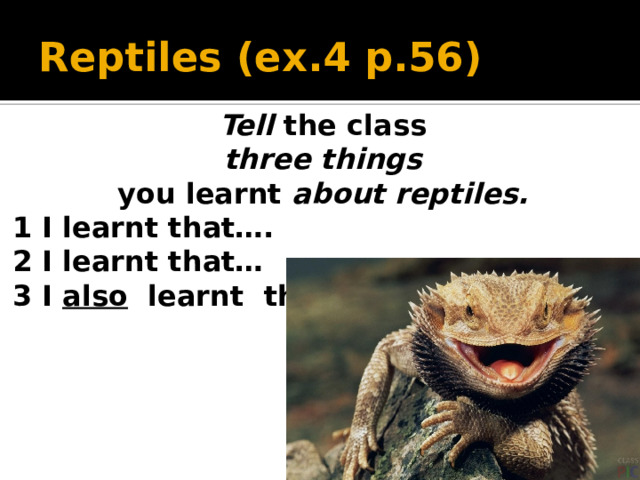 Reptiles (ex.4 p.56) Tell the class  three things you learnt about reptiles. 1 I learnt that…. 2 I learnt that… 3 I also learnt that…