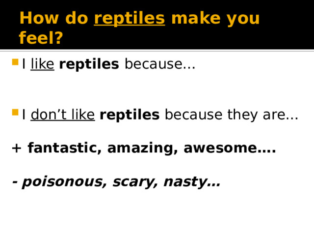 How do reptiles make you feel? I like  reptiles because… I don’t like  reptiles because they are… + fantastic, amazing, awesome….  - poisonous, scary, nasty…