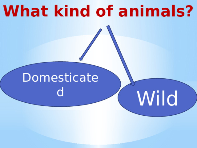 What kind of animals? Domesticated Wild