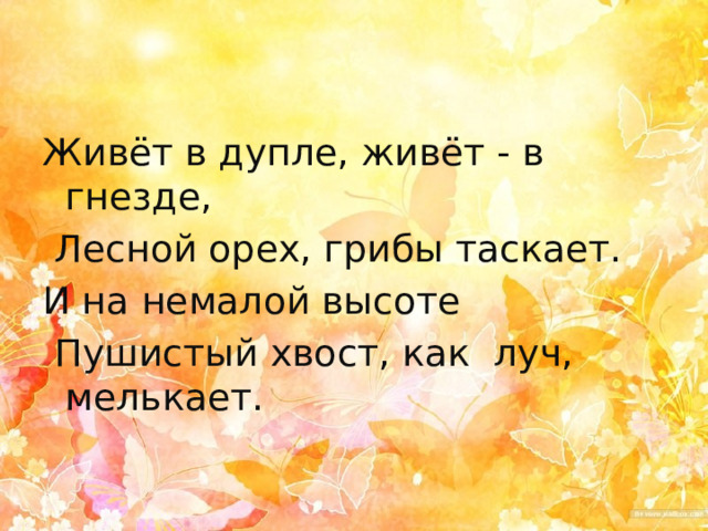 Живёт в дупле, живёт - в гнезде,  Лесной орех, грибы таскает. И на немалой высоте  Пушистый хвост, как луч, мелькает.