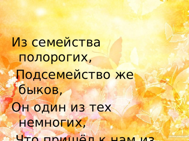 Из семейства полорогих,  Подсемейство же быков, Он один из тех немногих,  Что пришёл к нам из веков.  (Зубр)