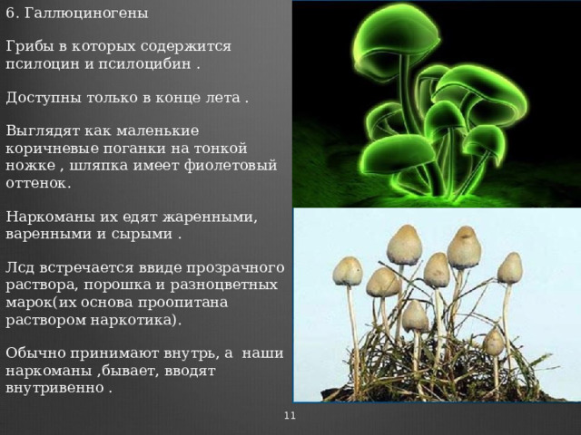 6. Галлюциногены Грибы в которых содержится псилоцин и псилоцибин . Доступны только в конце лета . Выглядят как маленькие коричневые поганки на тонкой ножке , шляпка имеет фиолетовый оттенок. Наркоманы их едят жаренными, варенными и сырыми . Лсд встречается ввиде прозрачного раствора, порошка и разноцветных марок(их основа проопитана раствором наркотика). Обычно принимают внутрь, а наши наркоманы ,бывает, вводят внутривенно .