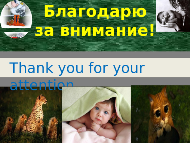 Благодарю  за  внимание! Thank you for your  attention
