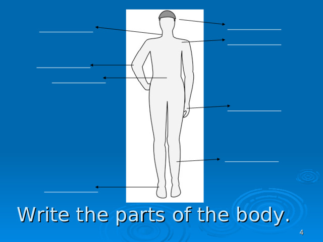 Write the parts of the body.
