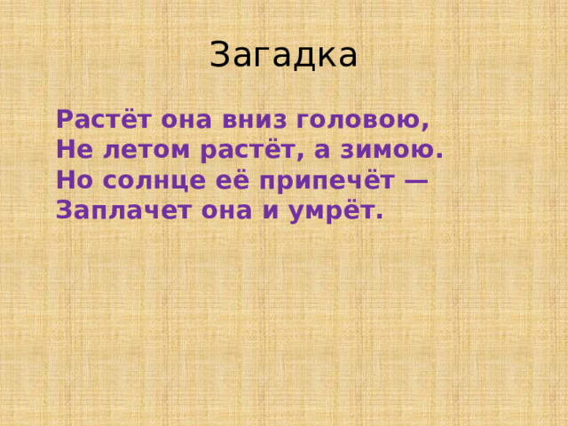 Загадка  Растёт она вниз головою,  Не летом растёт, а зимою.  Но солнце её припечёт —  Заплачет она и умрёт.