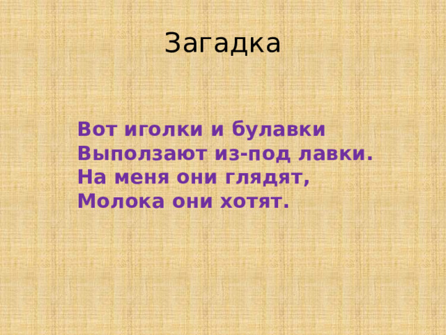 Загадка  Вот иголки и булавки  Выползают из-под лавки.  На меня они глядят,  Молока они хотят.