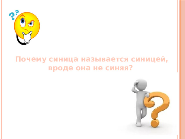 Почему синица называется синицей, вроде она не синяя?