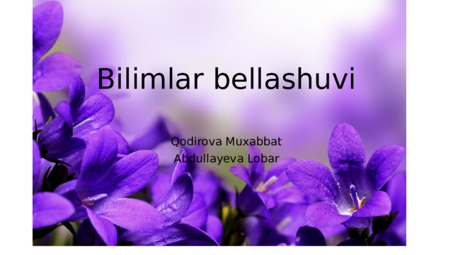 Bilimlar bellashuvi   Qodirova Muxabbat Abdullayeva Lobar