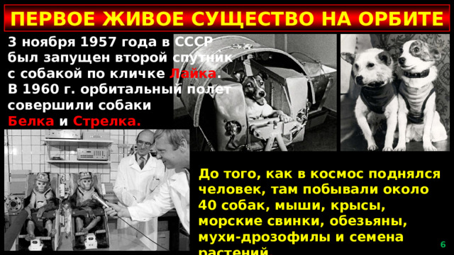 ПЕРВОЕ ЖИВОЕ СУЩЕСТВО НА ОРБИТЕ 3 ноября 1957 года в СССР был запущен второй спутник с собакой по кличке Лайка . В 1960 г. орбитальный полет совершили собаки Белка и Стрелка. До того, как в космос поднялся человек, там побывали около 40 собак, мыши, крысы, морские свинки, обезьяны, мухи-дрозофилы и семена растений .