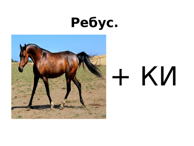 Ребус. + КИ