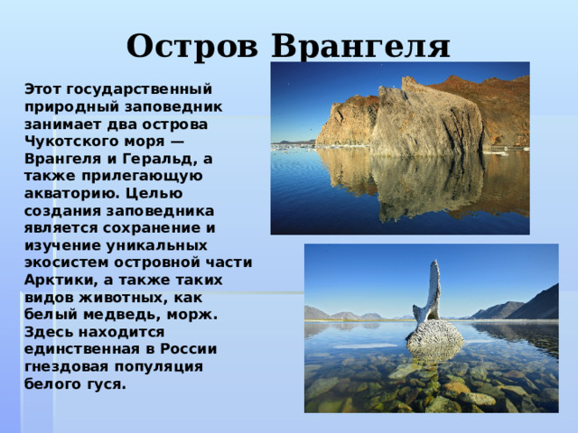 Остров Врангеля Этот государственный природный заповедник занимает два острова Чукотского моря — Врангеля и Геральд, а также прилегающую акваторию. Целью создания заповедника является сохранение и изучение уникальных экосистем островной части Арктики, а также таких видов животных, как белый медведь, морж. Здесь находится единственная в России гнездовая популяция белого гуся.