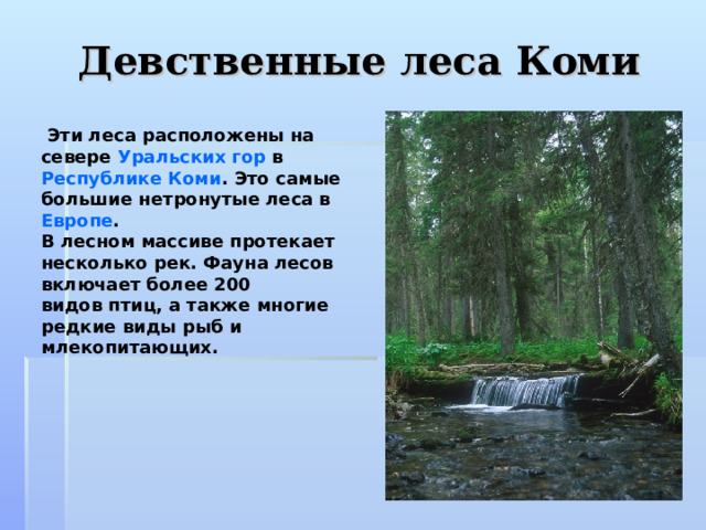 Девственные леса Коми   Эти леса расположены на севере  Уральских гор  в  Республике Коми . Это самые большие нетронутые леса в  Европе . В лесном массиве протекает несколько рек. Фауна лесов включает более 200 видов птиц, а также многие редкие виды рыб и млекопитающих.