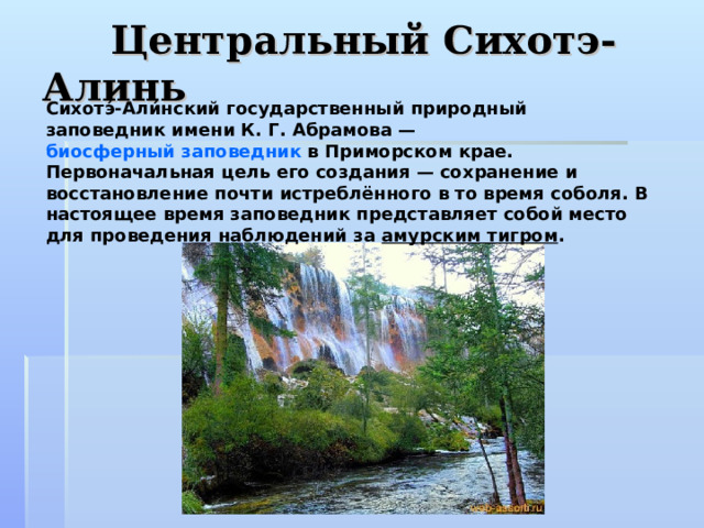 Центральный Сихотэ-Алинь Сихотэ́-Али́нский государственный природный заповедник имени К. Г. Абрамова —  биосферный заповедник  в Приморском крае. Первоначальная цель его создания — сохранение и восстановление почти истреблённого в то время соболя. В настоящее время заповедник представляет собой место для проведения наблюдений за  амурским тигром .