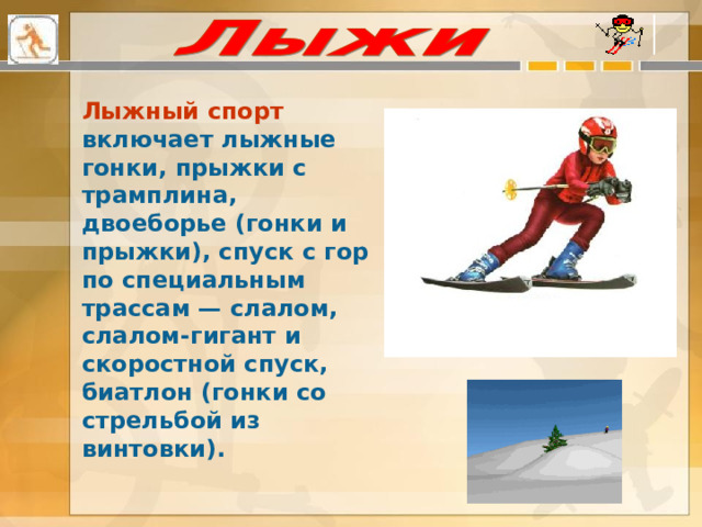 Лыжный спорт включает лыжные гонки, прыжки с трамплина, двоеборье (гонки и прыжки), спуск с гор по специальным трассам — слалом, слалом-гигант и скоростной спуск, биатлон (гонки со стрельбой из винтовки).