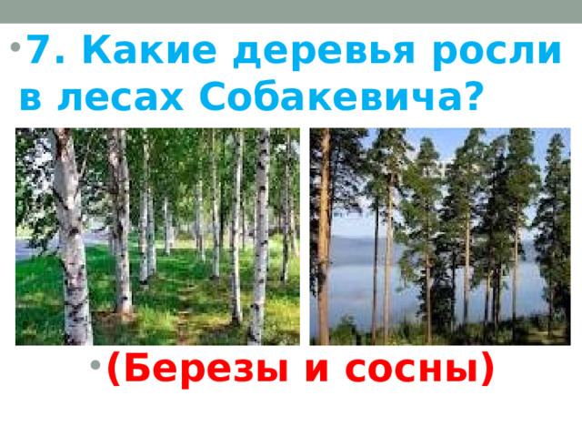 7. Какие деревья росли в лесах Собакевича?     (Березы и сосны)