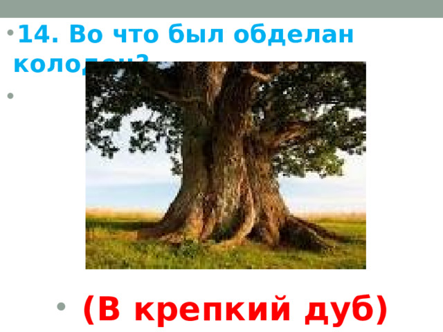 14. Во что был обделан колодец?        (В крепкий дуб)