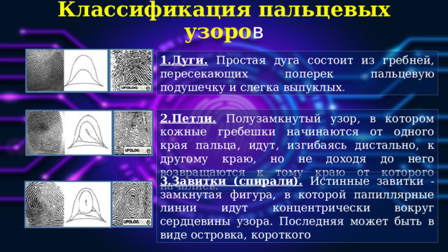 Классификация пальцевых узоро в 1.Дуги.  Простая дуга состоит из гребней, пересекающих поперек пальцевую подушечку и слегка выпуклых . 2.Петли.  Полузамкнутый узор, в котором кожные гребешки начинаются от одного края пальца, идут, изгибаясь дистально, к другому краю, но не доходя до него возвращаются к тому краю от которого начались. 3.Завитки (спирали).  Истинные завитки - замкнутая фигура, в которой папиллярные линии идут концентрически вокруг сердцевины узора. Последняя может быть в виде островка, короткого