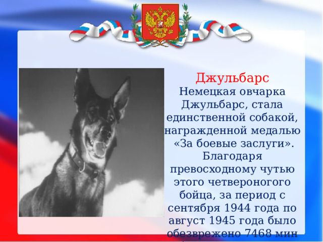 Джульбарс Немецкая овчарка Джульбарс, стала единственной собакой, награжденной медалью «За боевые заслуги». Благодаря превосходному чутью этого четвероногого бойца, за период с сентября 1944 года по август 1945 года было обезврежено 7468 мин и более 150 снарядов.