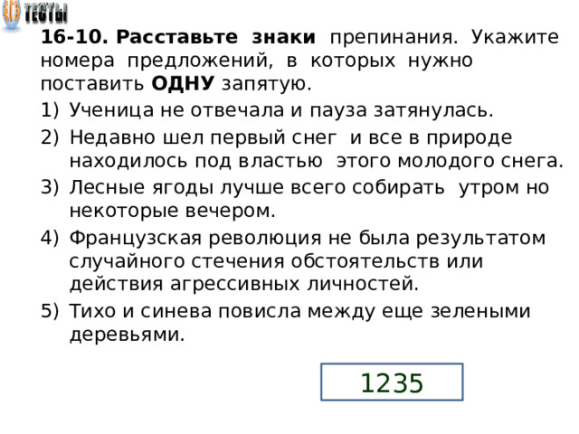 Егэ русский задания 16 21 практика 2024