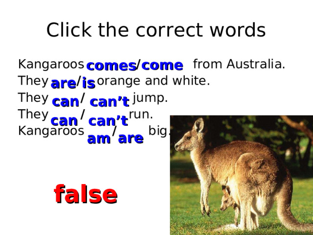 Click the correct words come comes Kangaroos  /  from Australia. They  /   orange and white. They  /    jump. They / run. Kangaroos / big. are is can can’t can can’t are am false