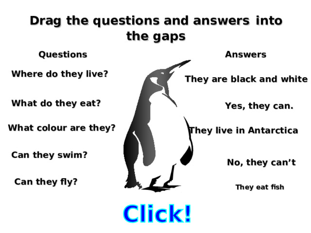 Drag the questions and answers  into the gaps Questions      Answers Where do they live? They are black and white What do they eat? Yes, they can. What colour are they? They live in Antarctica Can they swim? No, they can’t Can they fly? They eat fish