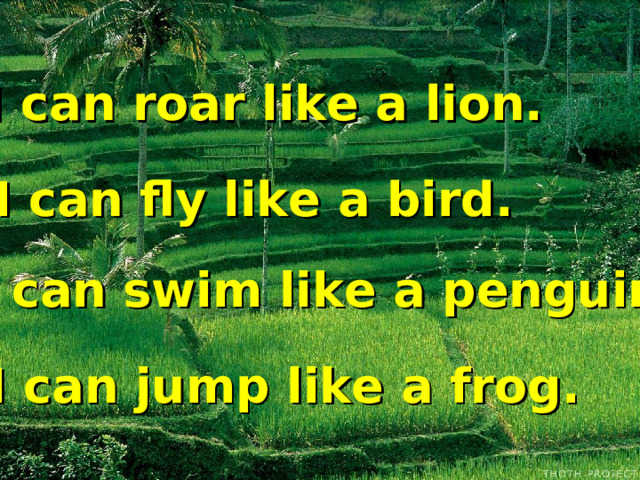 I can roar like a lion. I can fly like a bird. I can swim like a penguin. I can jump like a frog.