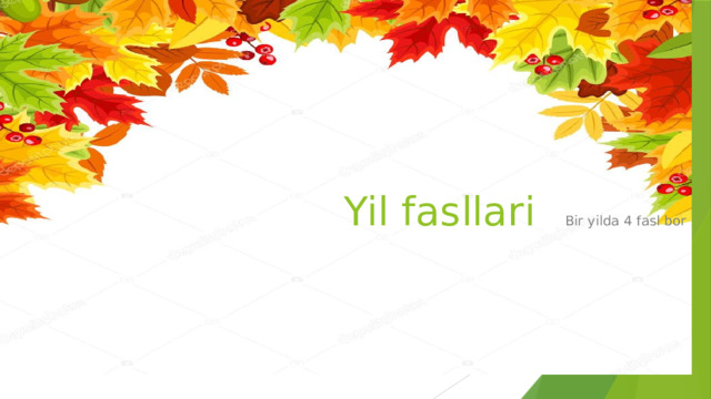 Yil fasllari Bir yilda 4 fasl bor