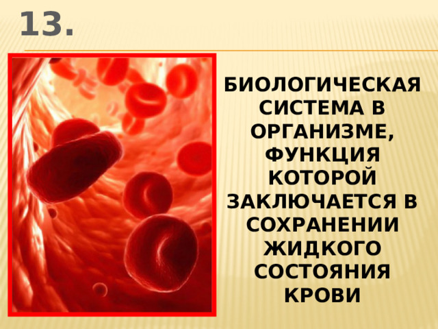 13. биологическая система в организме, функция которой заключается в сохранении жидкого состояния крови