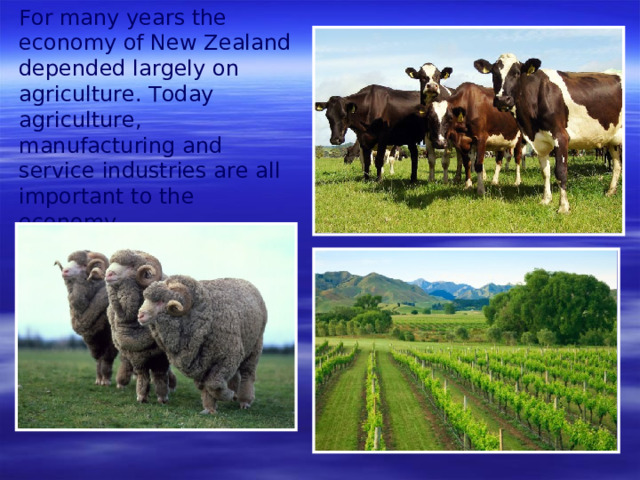 For many years the economy of New Zealand  depended largely on agriculture. Today agriculture, manufacturing and service industries are all important to the economy.