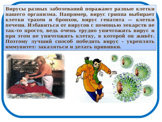 Вирусы разных заболеваний поражают разные клетки нашего организма. Например, вирус гриппа выбирает клетки трахеи и бронхов, вирус гепатита — клетки печени. Избавиться от вирусов с помощью лекарств не так-то просто, ведь очень трудно уничтожить вирус и при этом не уничтожить клетку, в которой он живёт. Поэтому лучший способ победить вирус - укреплять иммунитет: закаляться и делать прививки.